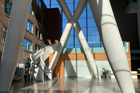 The Board of Directors Banner post image